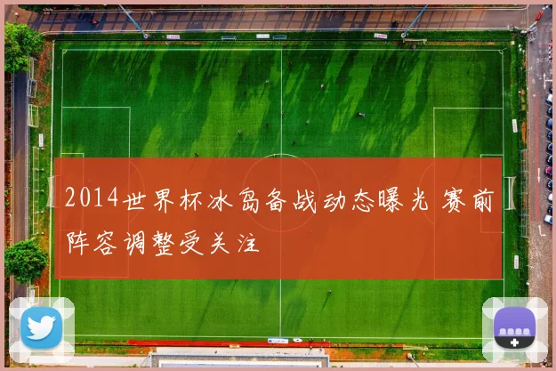 2014世界杯冰岛备战动态曝光 赛前阵容调整受关注