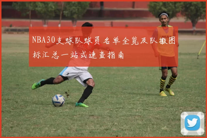 NBA30支球队球员名单全览及队徽图标汇总一站式速查指南