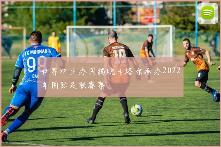 世界杯主办国揭晓卡塔尔承办2022年国际足联赛事