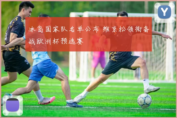冰岛国家队名单公布 维京松领衔备战欧洲杯预选赛